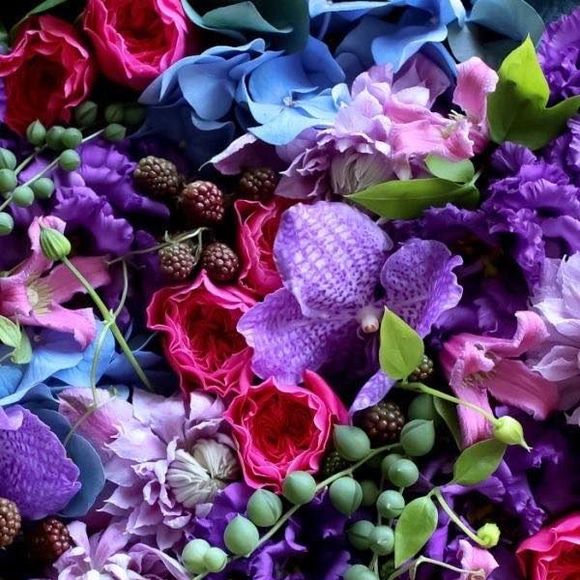 Meet your Posher, Darlene - Picture 1 of 1